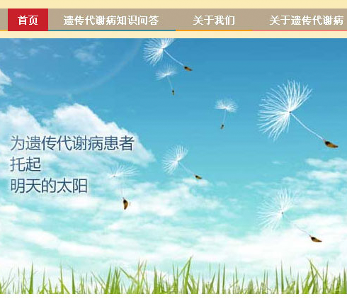 醫(yī)藥公司網站建設